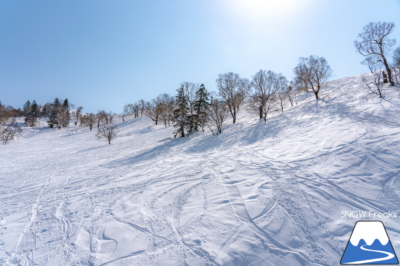 キロロリゾート｜まだまだ山頂は積雪４ｍ超！楽しい春スキー＆スノーボードシーズン到来です(^^)v